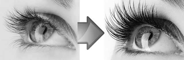 Wimpernverlängerung/Verdichtung